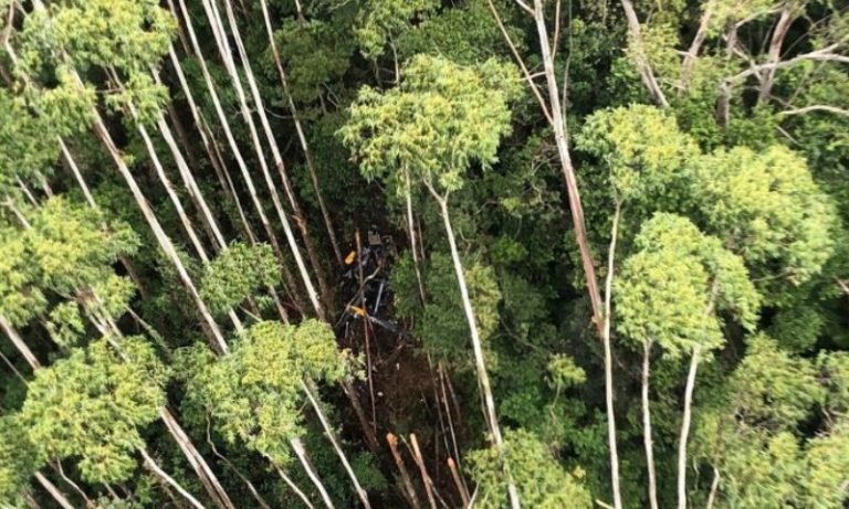 Helicóptero que caiu com 4 tripulantes bateu em vegetação durante o voo, diz Cenipa