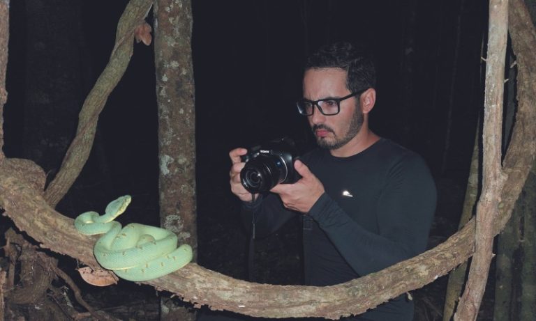 Jararaca ameaçada de extinção é vista no Espírito Santo