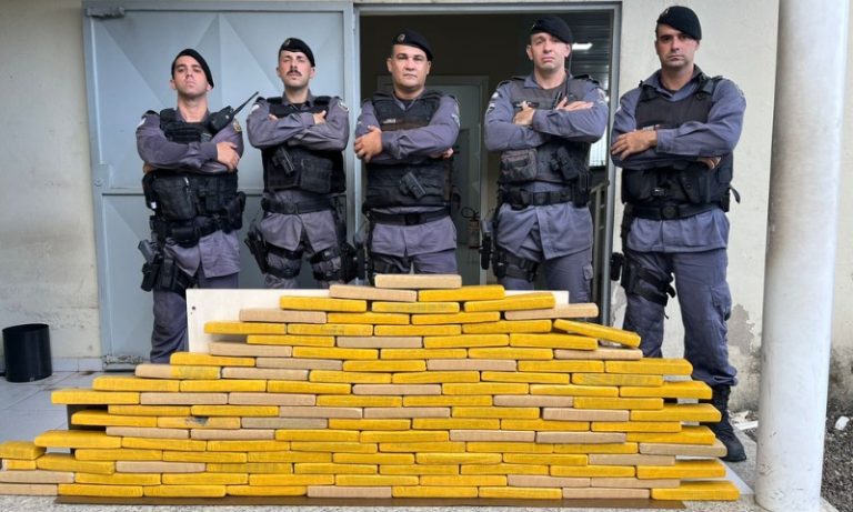 Mais de 100 tabletes de maconha são apreendidos pela PM em Linhares