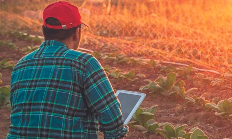 Novas opções para ter internet no campo