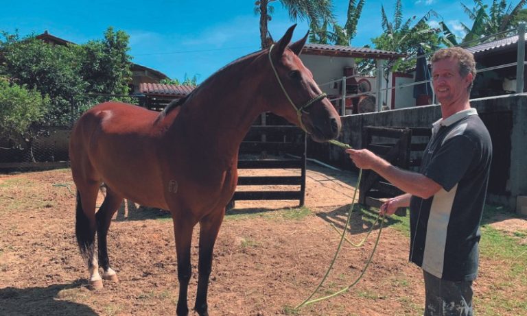 Rotina dos cavalos milionários no ES