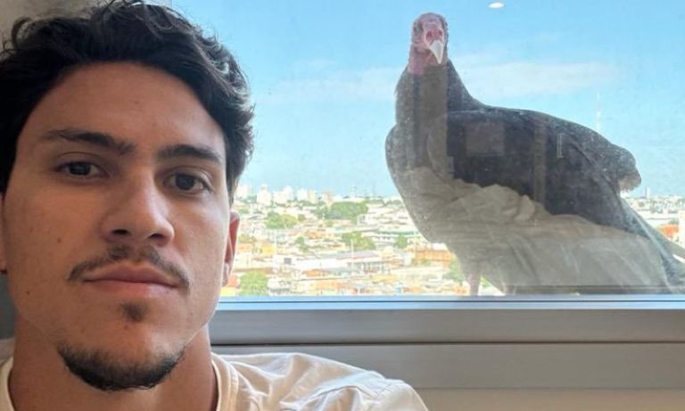 Sinal de boa sorte? Pedro flagra urubu em janela de hotel em dia de estreia do Fla