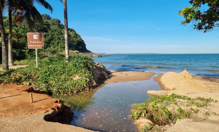 Anchieta: mata entre as praias de Iriri agora é área protegida