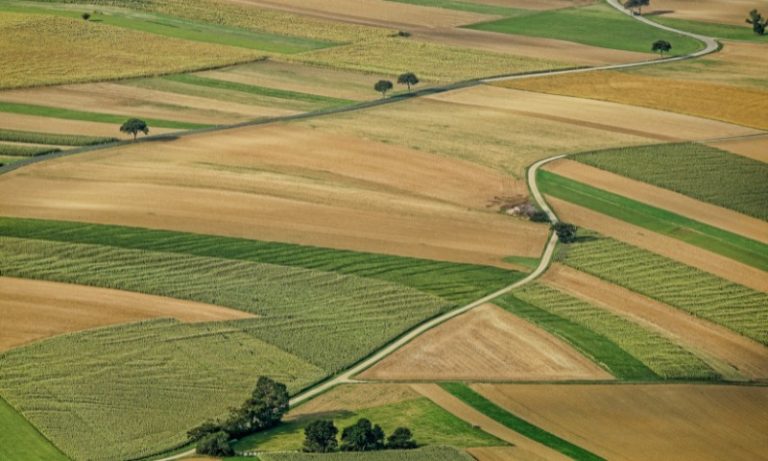 Chuvas afetam produção de produtos agrícolas no ES