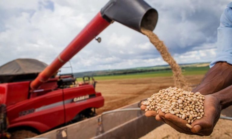 Exportação agropecuária do Brasil atinge valor recorde