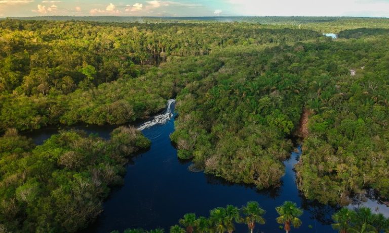 Quando a Amazônia entra em colapso? Novo estudo prevê um prazo