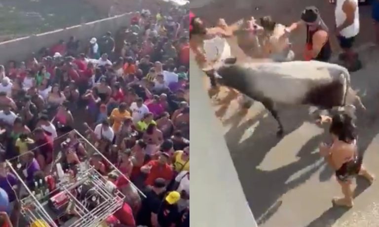 VÍDEO | Vaca assustada invade carnaval de rua e deixa três feridos