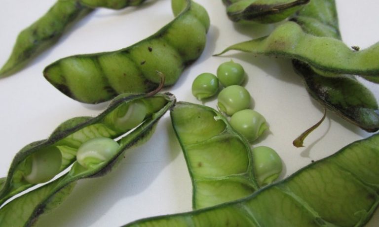 Alimentos que entram na nova cesta básica