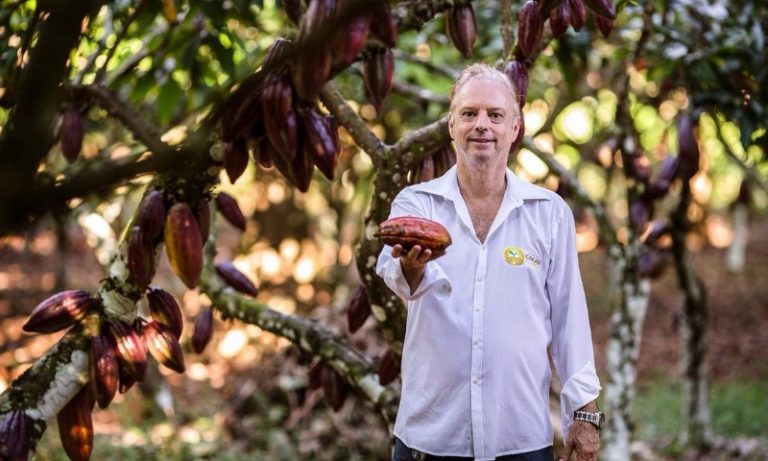 Alta do cacau anima produtores do ES