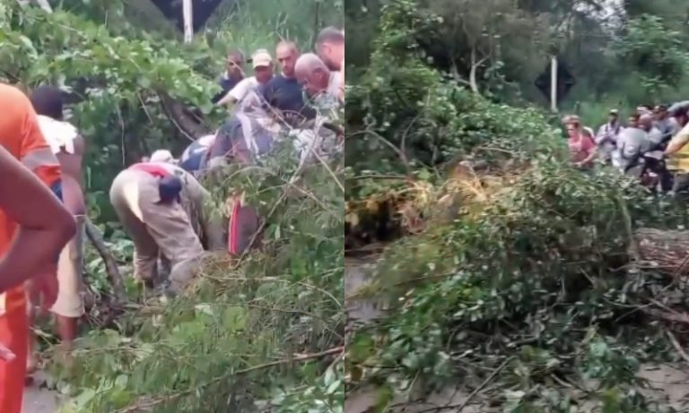 Árvore cai, atinge motocicleta e deixa mulher ferida em Muqui