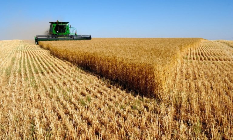 Brasil lidera exportação de sete alimentos