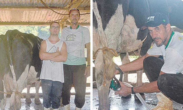 ES produz 1 milhão de litros de leite por dia
