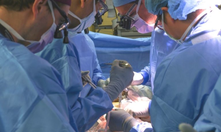 Equipe médica nos EUA faz primeiro transplante de rim de porco a um paciente vivo