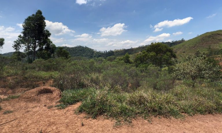 Localizados destroços de avião que caiu na Serra do Japi, em São Paulo