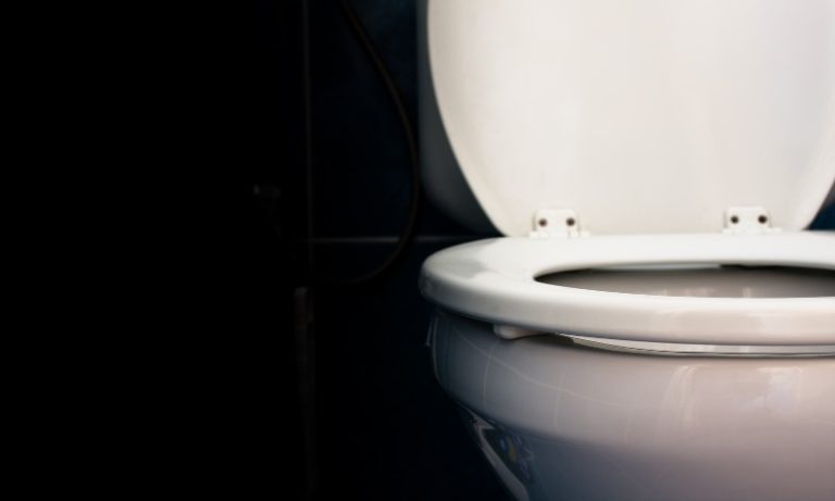 Menina sobe em privada e morre após pedaço do vaso sanitário quebrar em SC