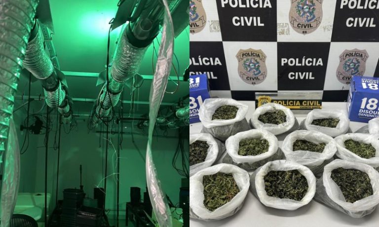 Polícia encontra laboratório para cultivo de maconha na Serra