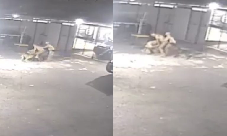 Policiais de elite brigam por escala de trabalho e acabam atacados por cães