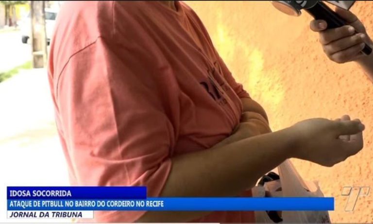Recife: pitbull criado como cão de guarda ataca idosa ao fugir de oficina