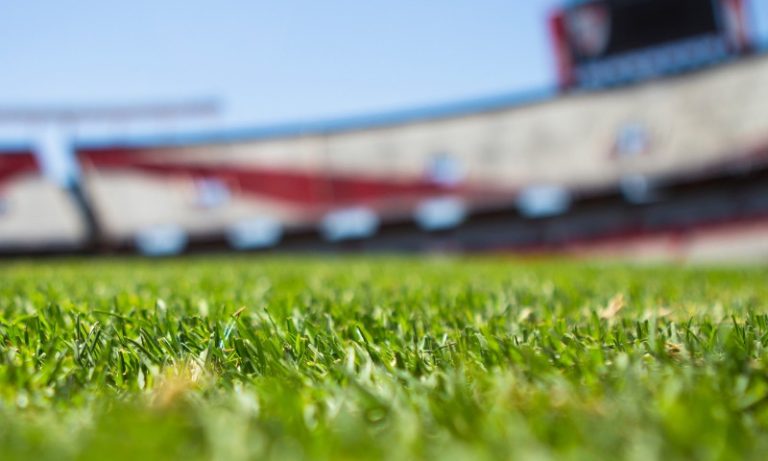 Sul-Americana 2024: veja datas, horários e onde assistir aos jogos dos brasileiros