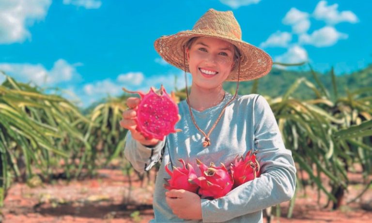 Candidata a Miss Universo Espírito Santo com experiência no campo