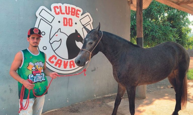 Cavalos movimentam R$ 13 milhões no ES