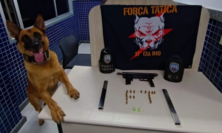Drogas e armas são apreendidas durante ação da polícia na Grande Vitória