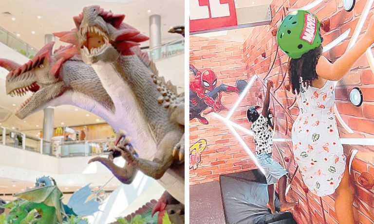 Exposições na Grande Vitória trazem Dragões, 100 anos da Disney e cultura indígena