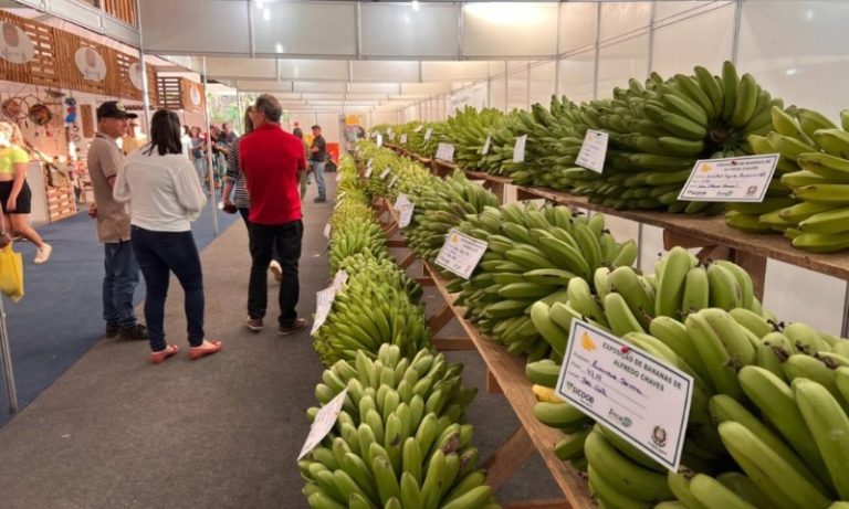 Festa da Banana de Alfredo Chaves vira patrimônio cultural