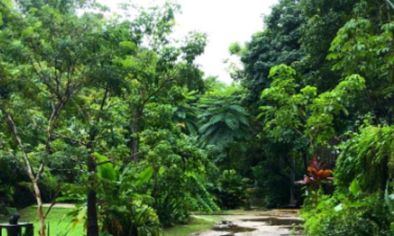 Jardim Secreto celebra o Dia da Terra com programação especial neste domingo