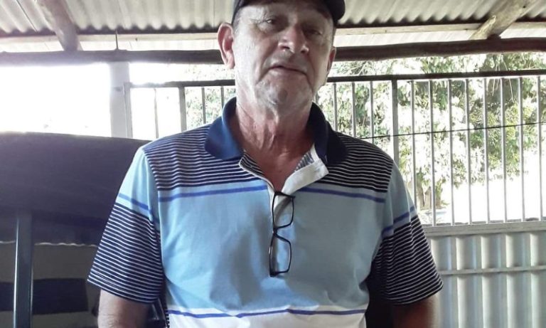 Motociclista morre após atropelar vaca no Sul do ES