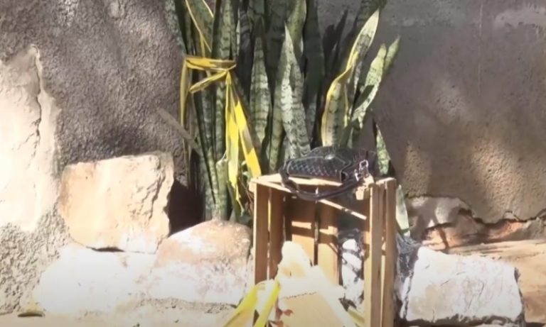 Mulher é encontrada morta e sem roupa em Vila Velha