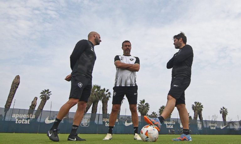 Botafogo faz as contas para garantir a vaga nesta quinta