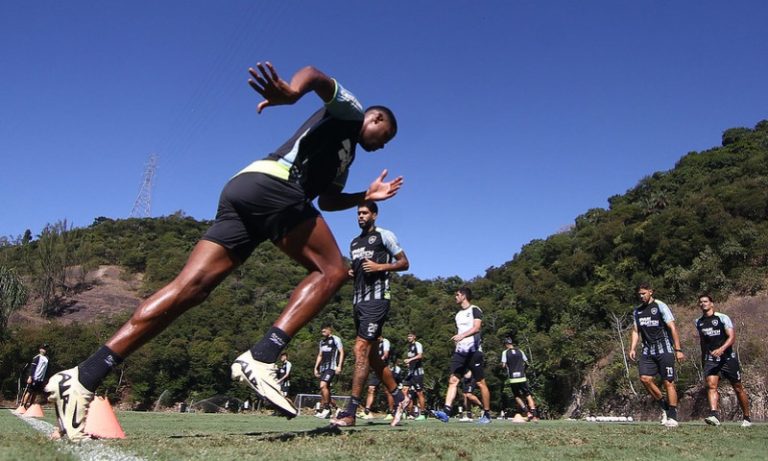 Botafogo quer revanche contra a LDU para consolidar a reação na Copa Libertadores