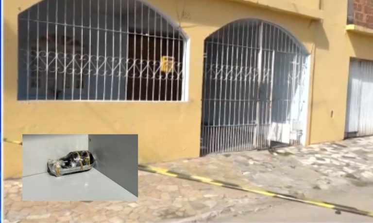 Granada é encontrada dentro de casa na Serra