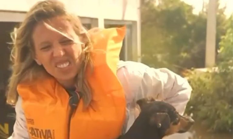 Luisa Mell diz que quebrou duas costelas no resgate no RS