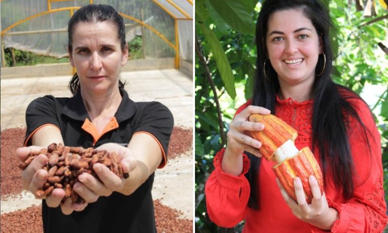 Mulheres do cacau: produtoras capixabas buscam melhorias para o cultivo