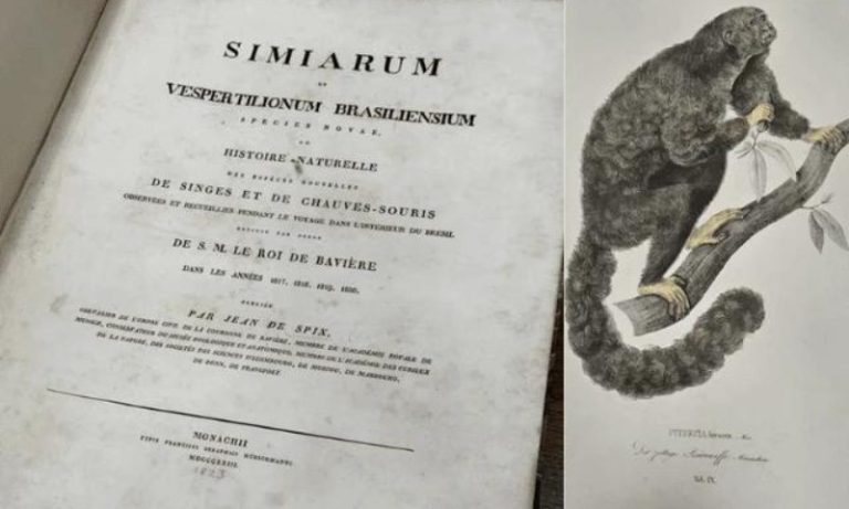 PF recupera livro de 1823 furtado há 16 anos no Pará
