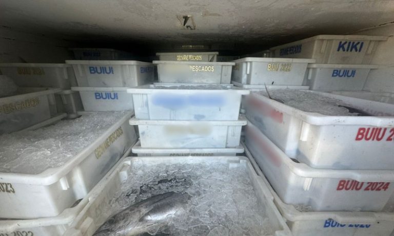 Polícia apreende 10 toneladas de pescado irregular no ES