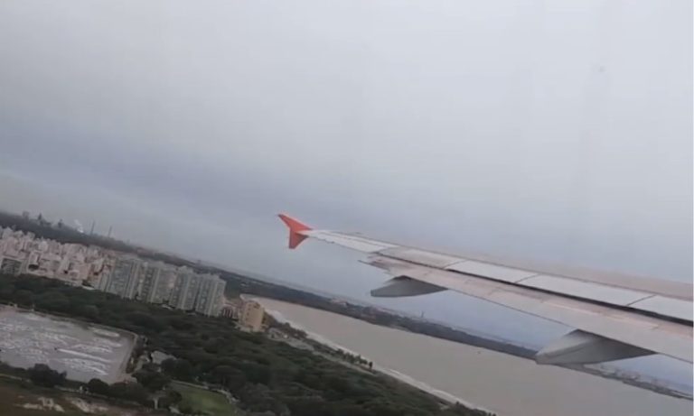 Avião atropela capivaras e interdita pista em Aeroporto de Vitória