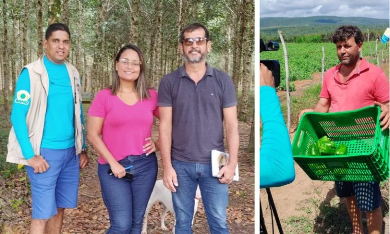 Bezerros, Caruaru, Timbaúba e Camaragibe estão em foco do Notícias do Campo