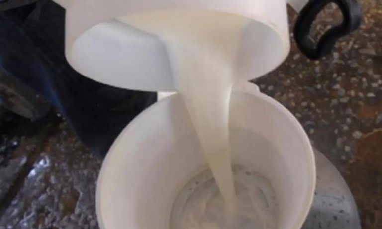 Campanha alerta sociedade sobre alergia alimentar