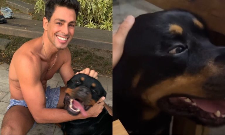Cauã Reymond lamenta morte do cachorro Romeu: ‘Nunca pensei que seria tão triste’