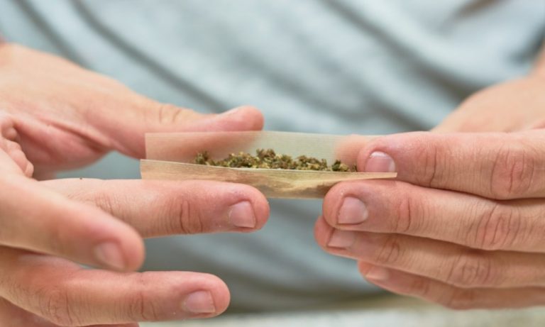 Descriminalização da maconha: entenda a decisão do STF em cinco pontos