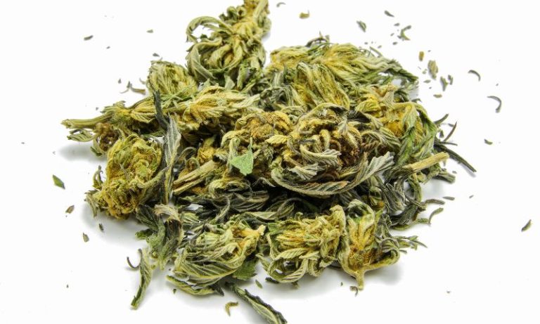 Descriminalização do porte da maconha no STF: quantos gramas podem dar prisão hoje?
