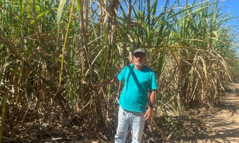 Engenheiro larga profissão e vira produtor de destaque no ES