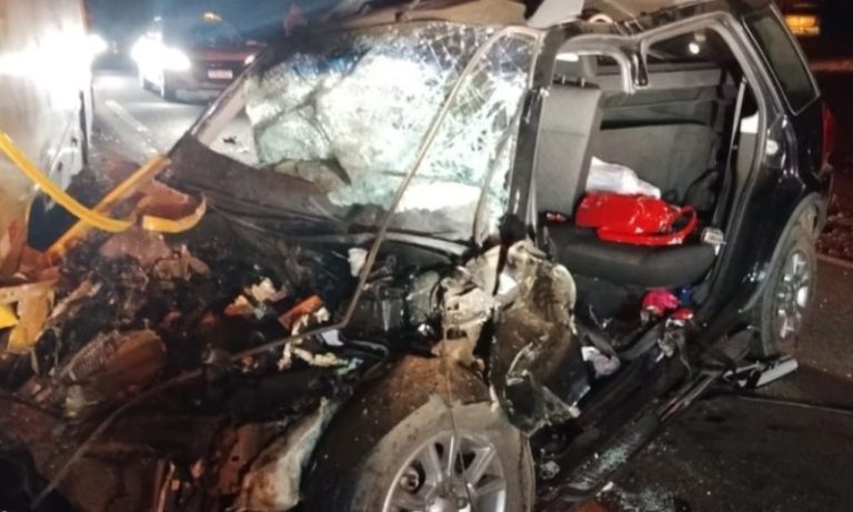 Mãe, filha e amiga morrem após carro atropelar vaca solta na pista em SP