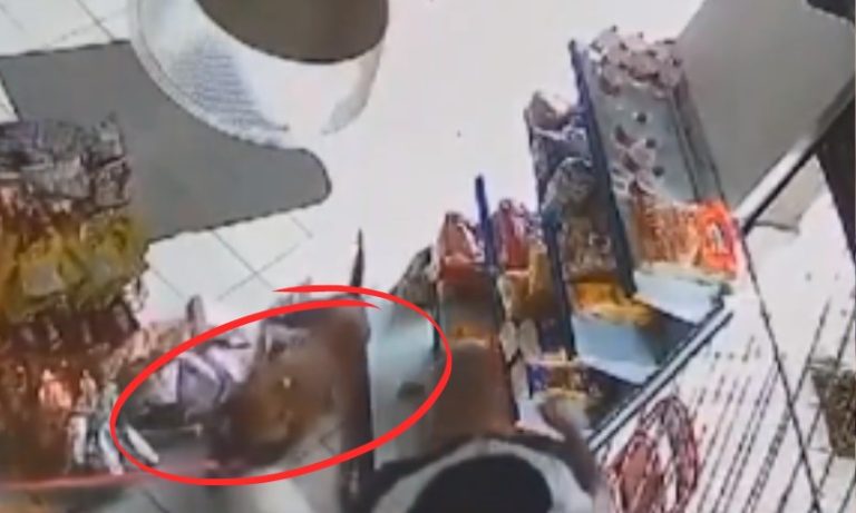 Menino de 7 anos tem orelha mutilada após ser atacado por cão no ES