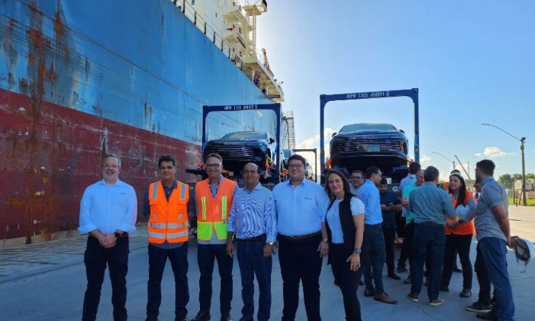 Porto do ES vai receber 9.500 carros chineses até o fim de 2024