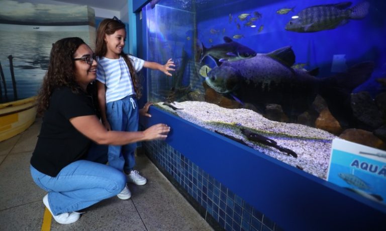 Diversão e aprendizado juntos nas férias escolares