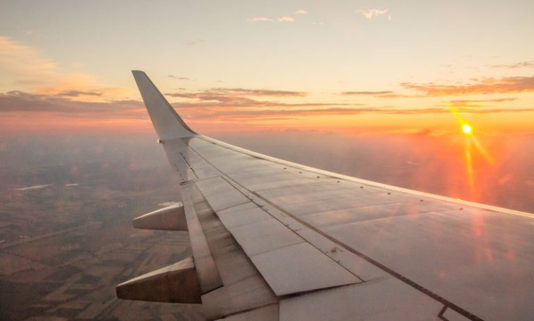 Justiça decide que cão de suporte emocional deve viajar com passageira em avião